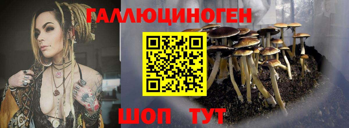 Псилоцибиновые грибы Magic Shrooms Новоуральск